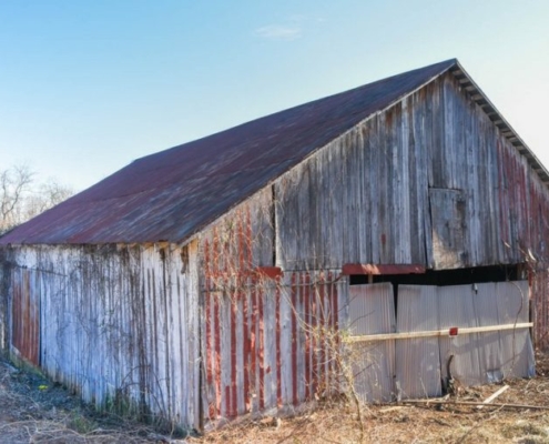 apple barn