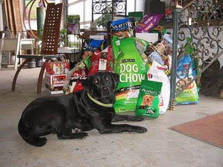 official black dog Sally and donated dog food