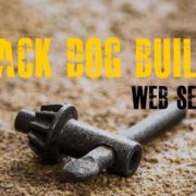 Black Dog Salvage Builds